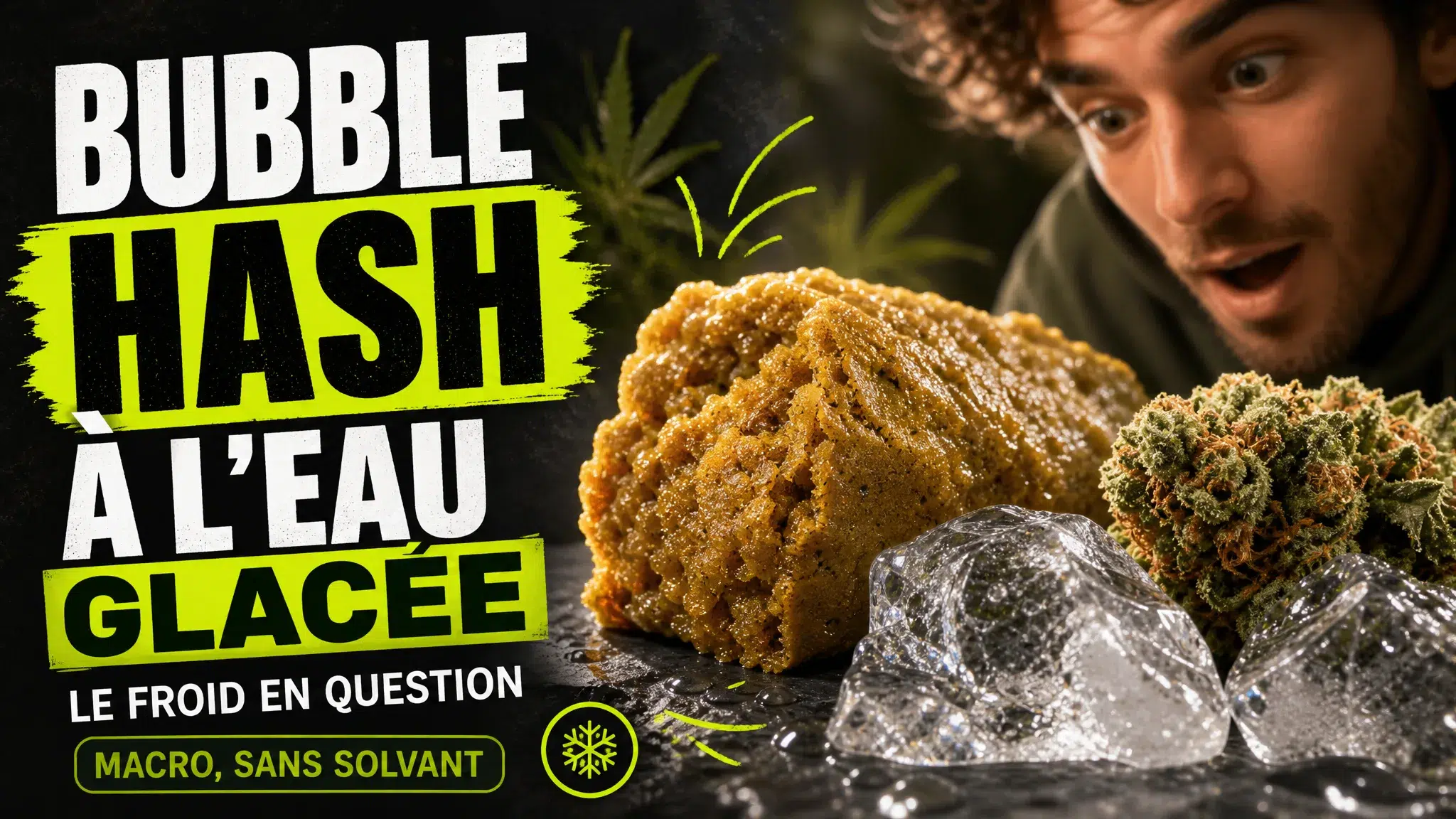 Gros plan éditorial sur une boule de bubble hash dorée posée près de cristaux de glace et d’une fleur de chanvre résineuse.