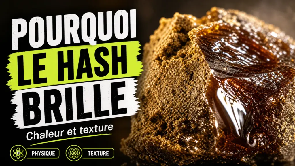 Gros plan sur deux textures de résine de chanvre, l’une mate et granuleuse, l’autre lisse et brillante.