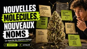 Une fleur de chanvre détaillée au centre d’un assemblage de cartes évoquant la multiplication des nouvelles appellations de cannabinoïdes.