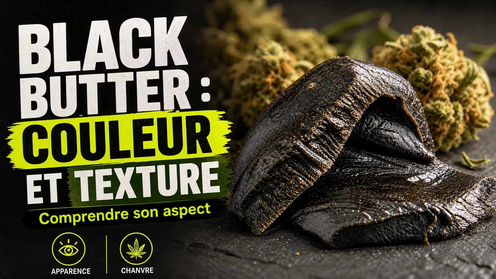 Gros plan sur une résine de chanvre noire, souple et brillante, posée sur une surface minérale avec quelques éléments végétaux flous.