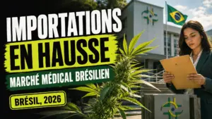 Une branche de chanvre se détache devant un bâtiment institutionnel brésilien marqué par un drapeau national.