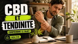 Une personne soutient doucement son poignet dans un espace de travail lumineux où une petite branche de chanvre rappelle le sujet du CBD.