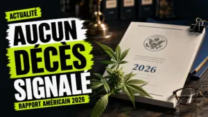 Un rapport institutionnel américain daté de 2026 repose sur un bureau à côté d’un spécimen de chanvre soigneusement présenté.