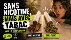 Deux rouleaux végétaux non allumés sont comparés sur une table, avec du tabac d’un côté et du chanvre de l’autre.