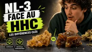 Deux formes de résine botanique ambrée sont présentées face à face sur une surface sombre dans une composition éditoriale comparative.
