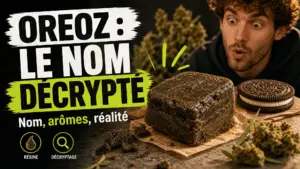 Un morceau de résine de chanvre sombre est présenté près d’un biscuit au cacao sans marque, dans une mise en scène éditoriale sobre.