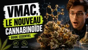Une fleur de chanvre détaillée au premier plan se détache devant des formes moléculaires translucides dans un décor sombre et contemporain.