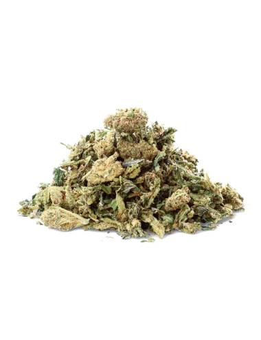 Critical Cheese Trim -...