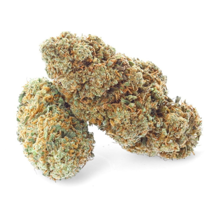 Harlequin 2.0: Raffinierte und anspruchsvolle CBD-Blüte – Weedy.fr