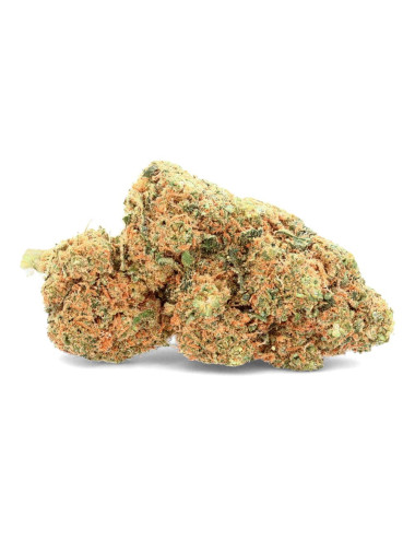 Mango Gelato - CBD Blüte - Ivory