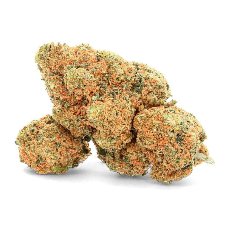 Mango Gelato Ivory: Tropische und erfrischende CBD-Blüte – Weedy.fr