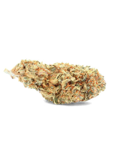 Tropicana - CBD-Blüte -...