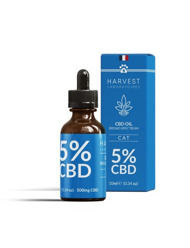CBD-Öl für Katzen