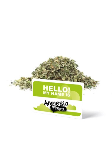 Amnesia Trim 15g - Blume der...