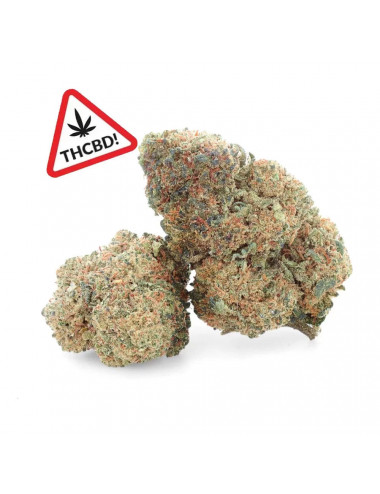 Jamaican Kush – Blüte von...