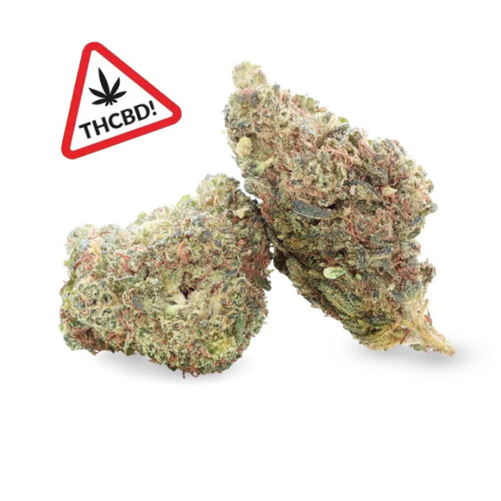 Jack Herer THCBD Ivory – Kraftvolle & würzige Blüte | Weedy.fr