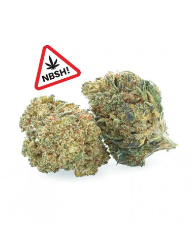 Vanilla Cake - NBSh-Blüten - Easyweed