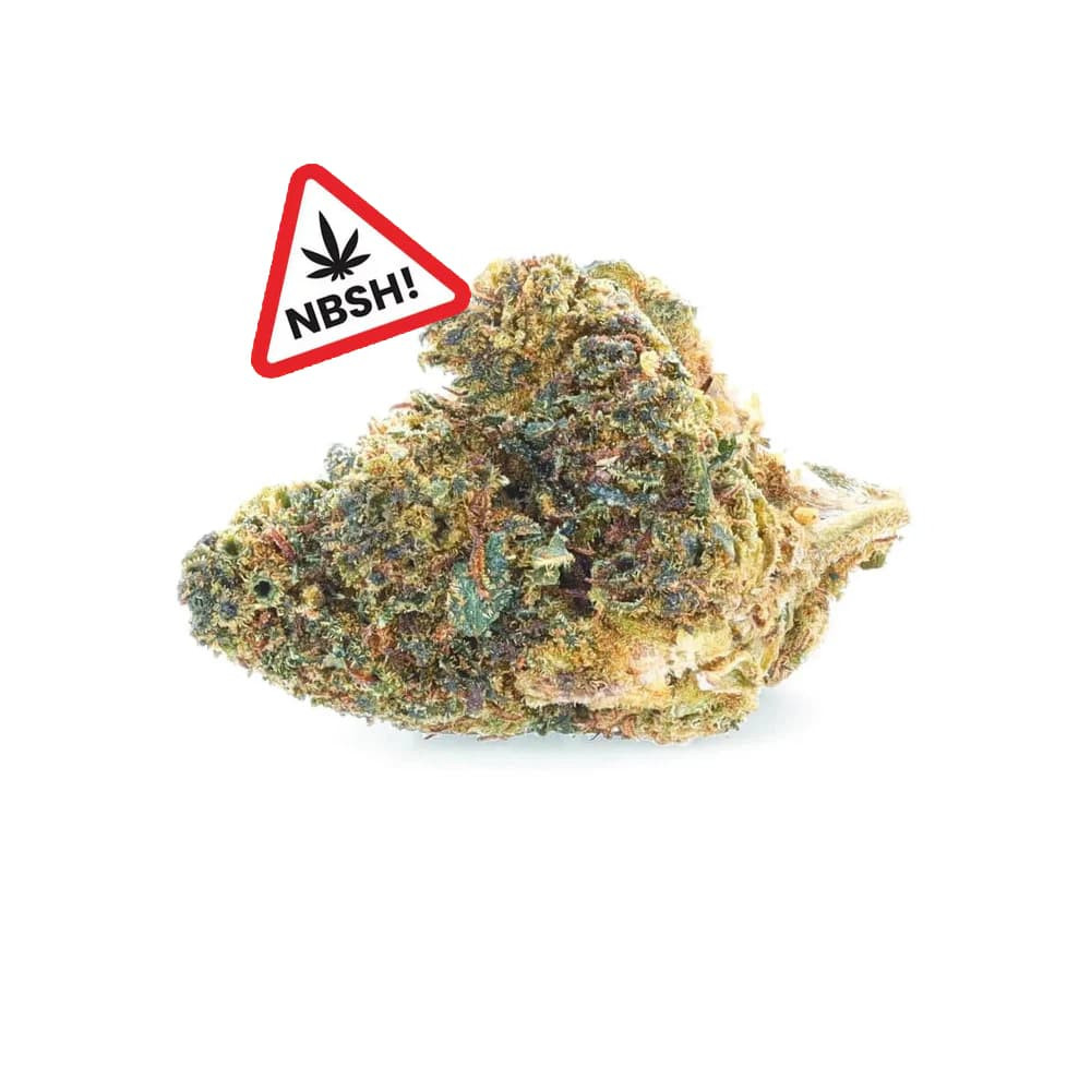 Sunset Punch - NBSh-Blumen - Easyweed