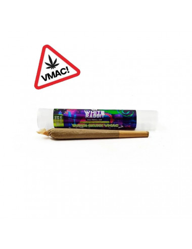Vorgefertigte Joints VMAC Super Skunk – White Rabbit