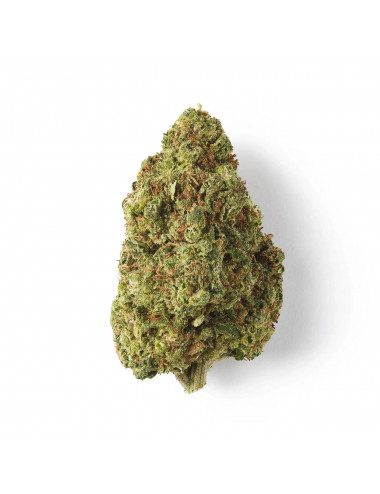 Cookie – CBD-Blüte – Easy Weed