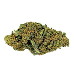 Therapy cbd