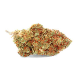 Banana Kush, the CBD flower that combines relaxation and vigor - Weedy.fr