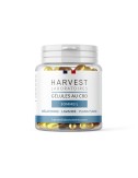 CBD capsules for sleep