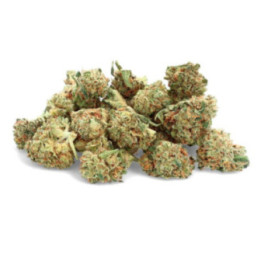 Harlequin - CBD Flower - Ivory