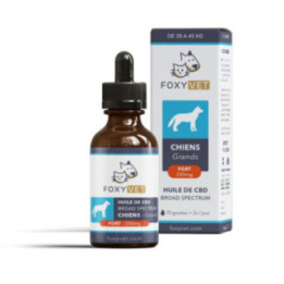 FOXYVET CBD Oil for Dogs - Improve Your Pet's Well-being - Weedy.fr
