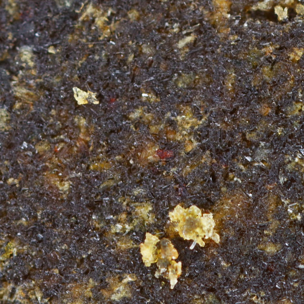 Hemp resin