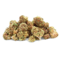 O.G Kush: Powerful and Legendary CBD Flower - Weedy.fr