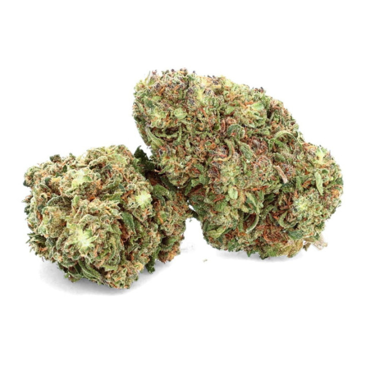 Royal Cheese: Rich and tasty CBD flower - Easy Weed.co.uk