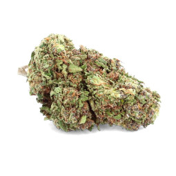 Royal Cheese - CBD Flower...