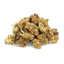 Skywalker: Galactic and Enchanting CBD Flower - Weedy.fr