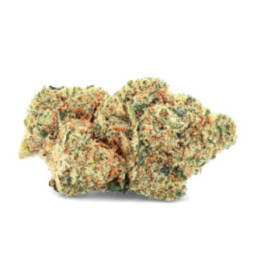 Supreme: High-End, Memorable CBD Flower - Weedy.fr