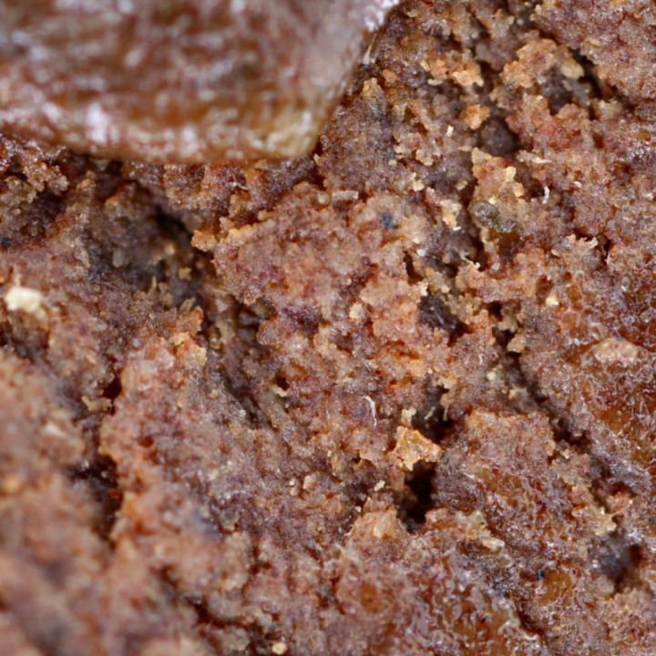 Ivory cannabis resin