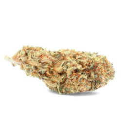 Tropicana: Exotic and Sparkling CBD Flower - Weedy.fr