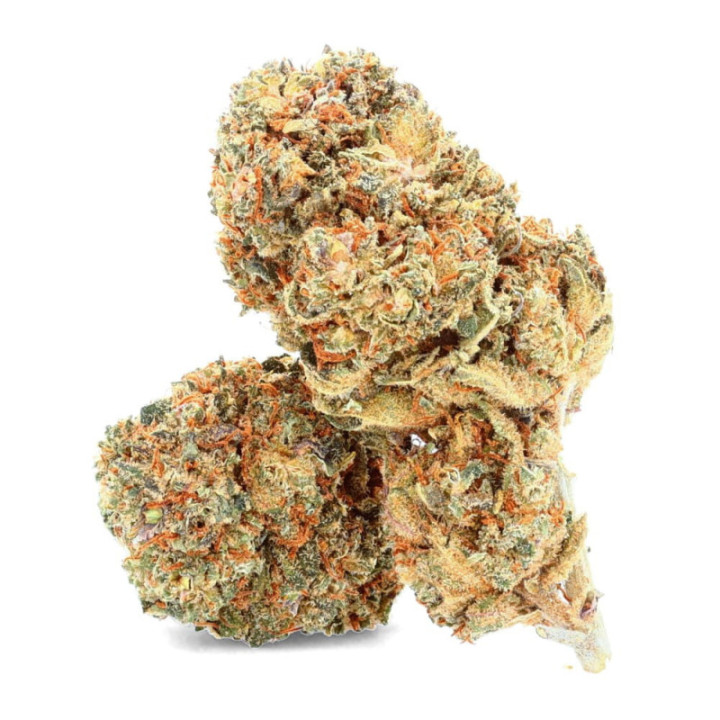 Tropicana: Exotic and Sparkling CBD Flower - Weedy.fr