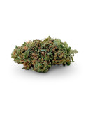 Caramel Candy - CBD Flower - Weedy - 2g