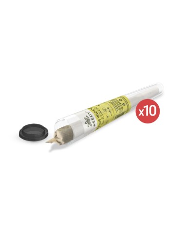 CBD -White widow pre-rolled gaskets pack x 10 - Weedy