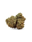 Fruit Tonic CBD Outdoor