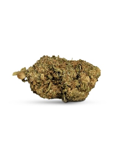 penny wise cbd greenhouse