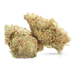 Gelato - CBD Flower - Ivory