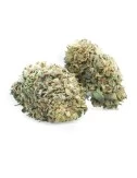Bubble Kush - CBD Flower - Easy Weed