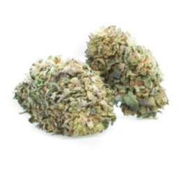 Bubble Kush - CBD Flower - Easy Weed