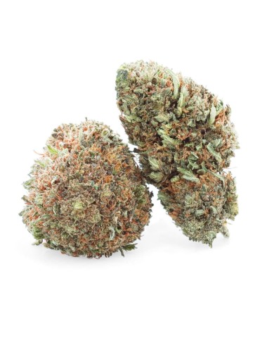 Lemon Octane - CBD Flower - Easy Weed