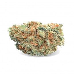 Pineapple CBD - CBD Flower - Weedy