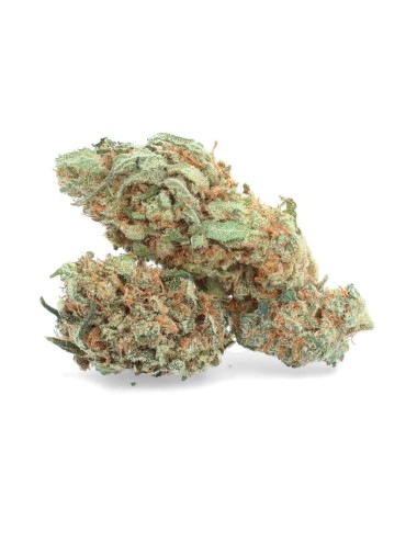 Pineapple CBD - CBD Flower - Weedy
