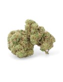 White Widow - CBD Flower - Weedy