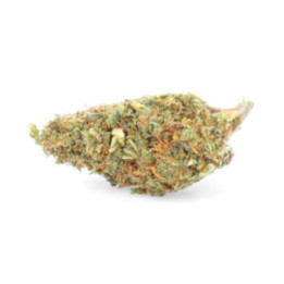 White Rhino - CBD Flower - Easy Weed